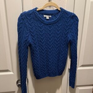 American Eagle Outfitters Royal Blue Crew Neck Sweater